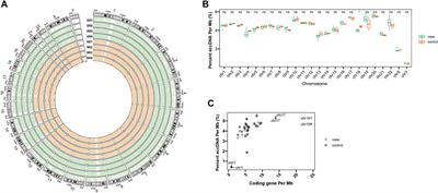 Characterization of Plasma Extrachromosomal Circular DNA in Gouty Arthritis